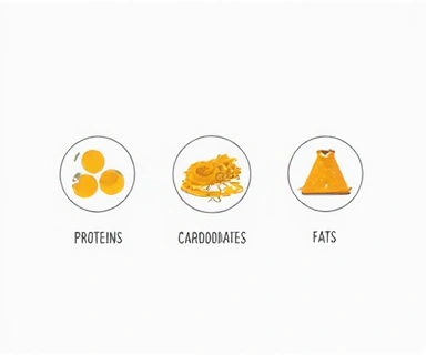 A simple diagram illustrating macronutrients: proteins, carbohydrates, and fats.